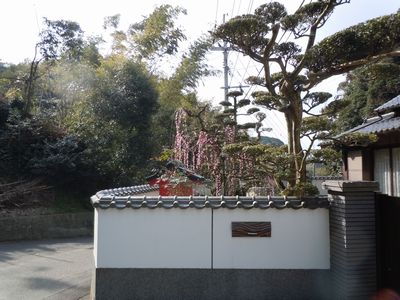 DSCN3048.JPG