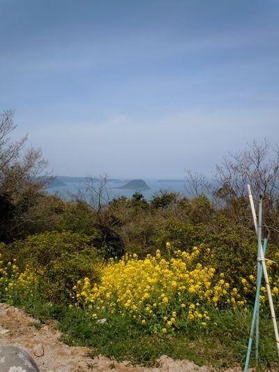 DSCN3107.JPG