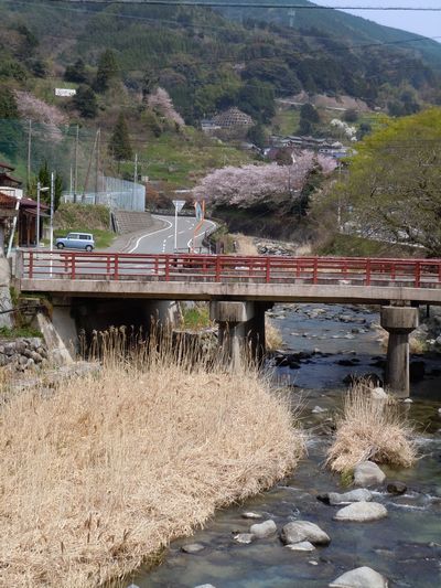 DSCN3116.JPG