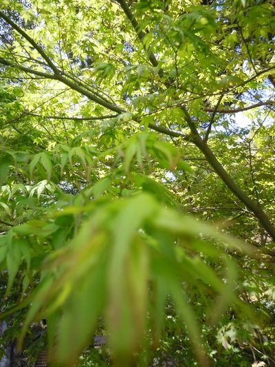 DSCN3121.JPG
