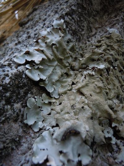 DSCN3126.JPG