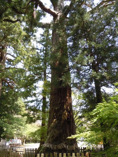 DSCN3132.JPG