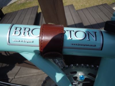 DSCN3161bro.jpg