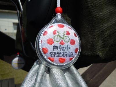 DSCN3166bro.jpg