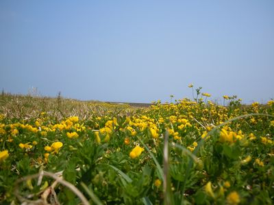 DSCN3200.JPG