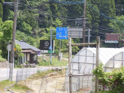 DSCN3270.JPG