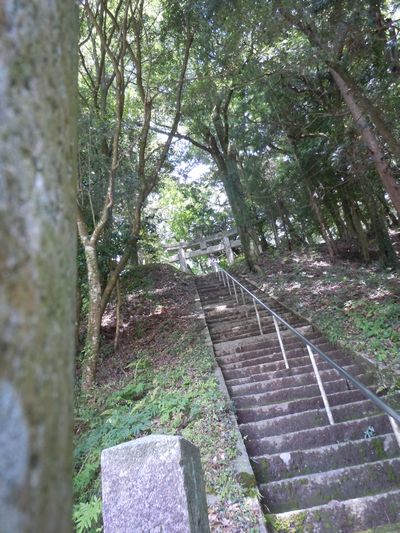 DSCN3277.JPG