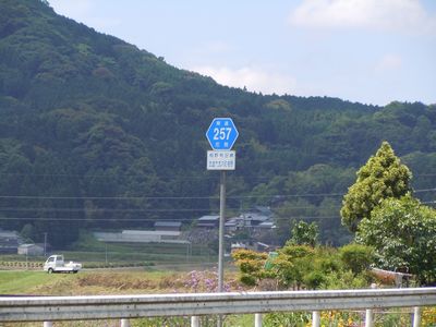 DSCN3303.JPG