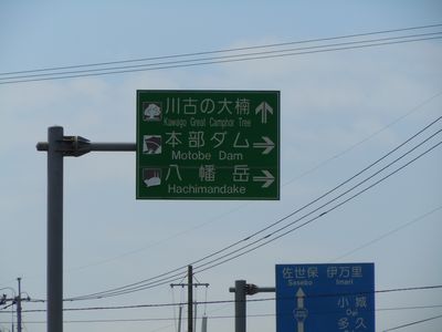 DSCN3323.JPG