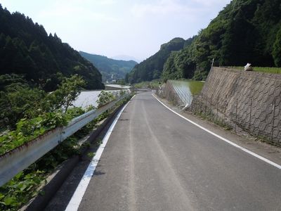DSCN3334.JPG