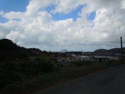 DSCN3625bro.jpg