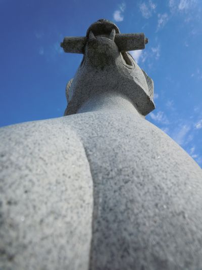 DSCN3715b.jpg