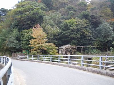DSCN3821.JPG