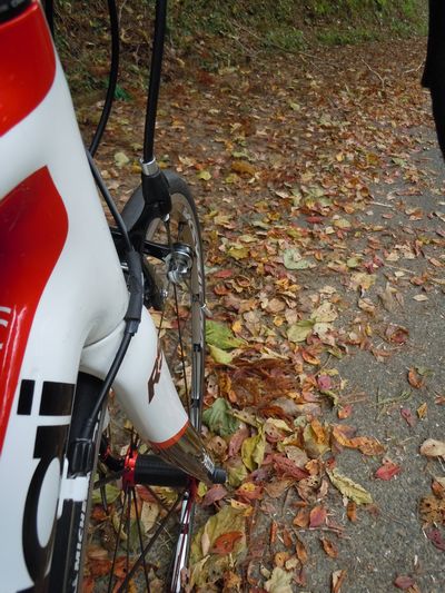 DSCN3828.JPG