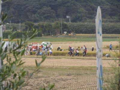 DSCN3835.JPG