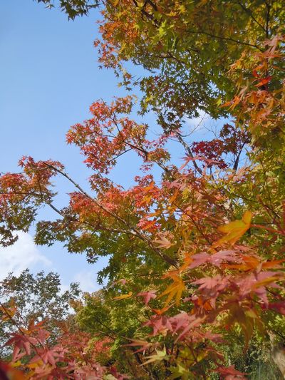 DSCN3861.JPG