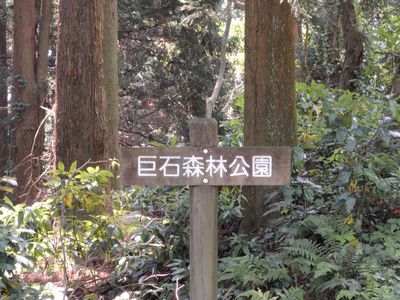 DSCN3966.JPG