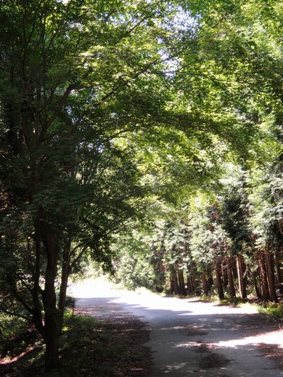 DSCN4009b.jpg