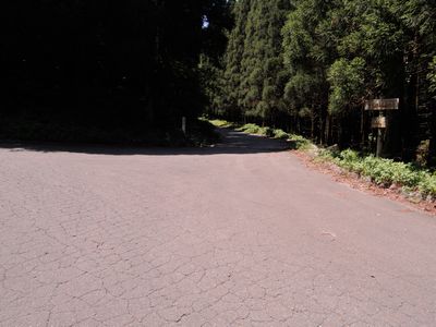 DSCN4015.JPG