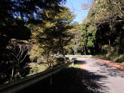 DSCN4174.JPG
