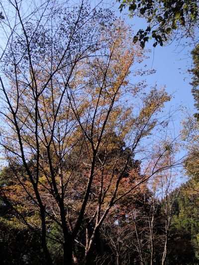 DSCN4179.JPG