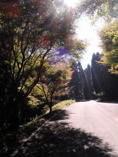 DSCN4182.JPG