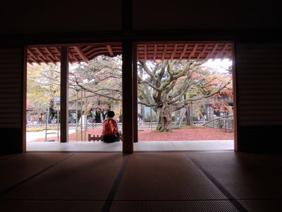 DSCN4275b.jpg