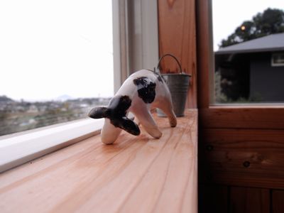 DSCN4350.JPG