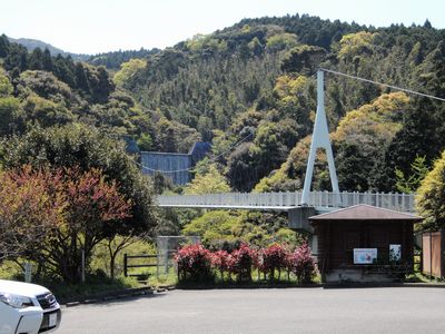 DSCN4469.JPG