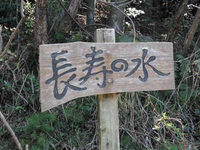 DSCN4496.JPG