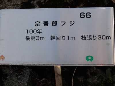 DSCN4544.JPG