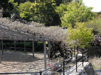 DSCN4550.JPG