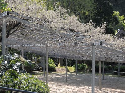 DSCN4553.JPG
