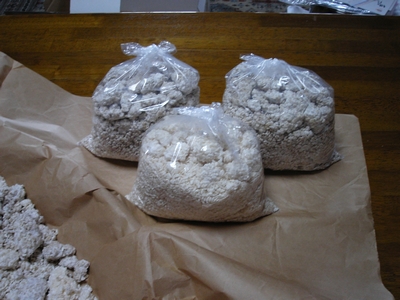 KIF_0794.JPG