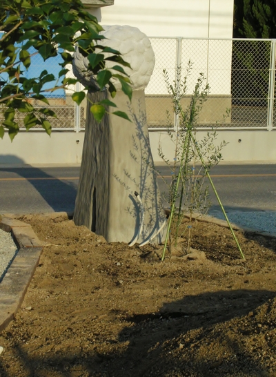 KIF_1058.JPG