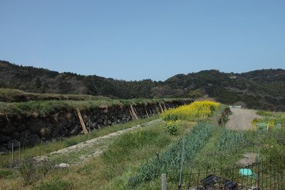 SDIM3022ba.jpg