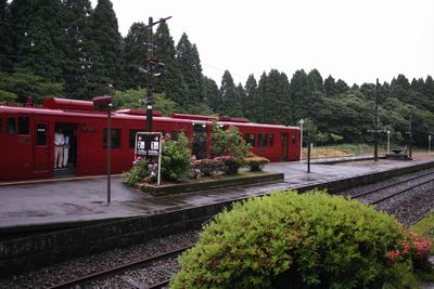 SDIM3754b.jpg