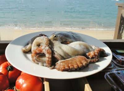 tako.jpg